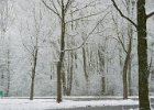 20040101 02 vanaalstlaan
